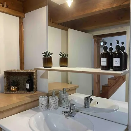 Appartement Atypique En Hyper Centre Toulouse